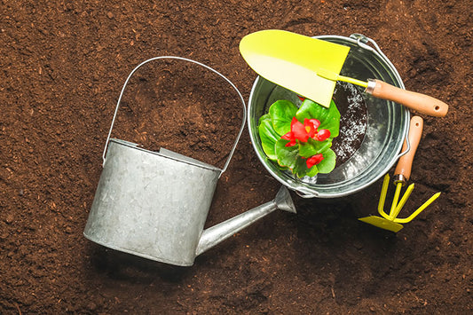 Supplies for gardening with plants on soil 