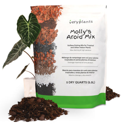 Molly's Aroid Mix - Mezcla para macetas sin suelo de plantas tropicales de primera calidad