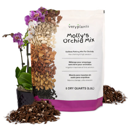 Molly's Orchid Mix - Mezcla premium para macetas de orquídeas sin suelo