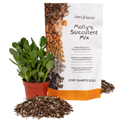 Molly's Succulent Mix - Mezcla para macetas sin tierra de primera calidad para suculentas, cactus y bonsái