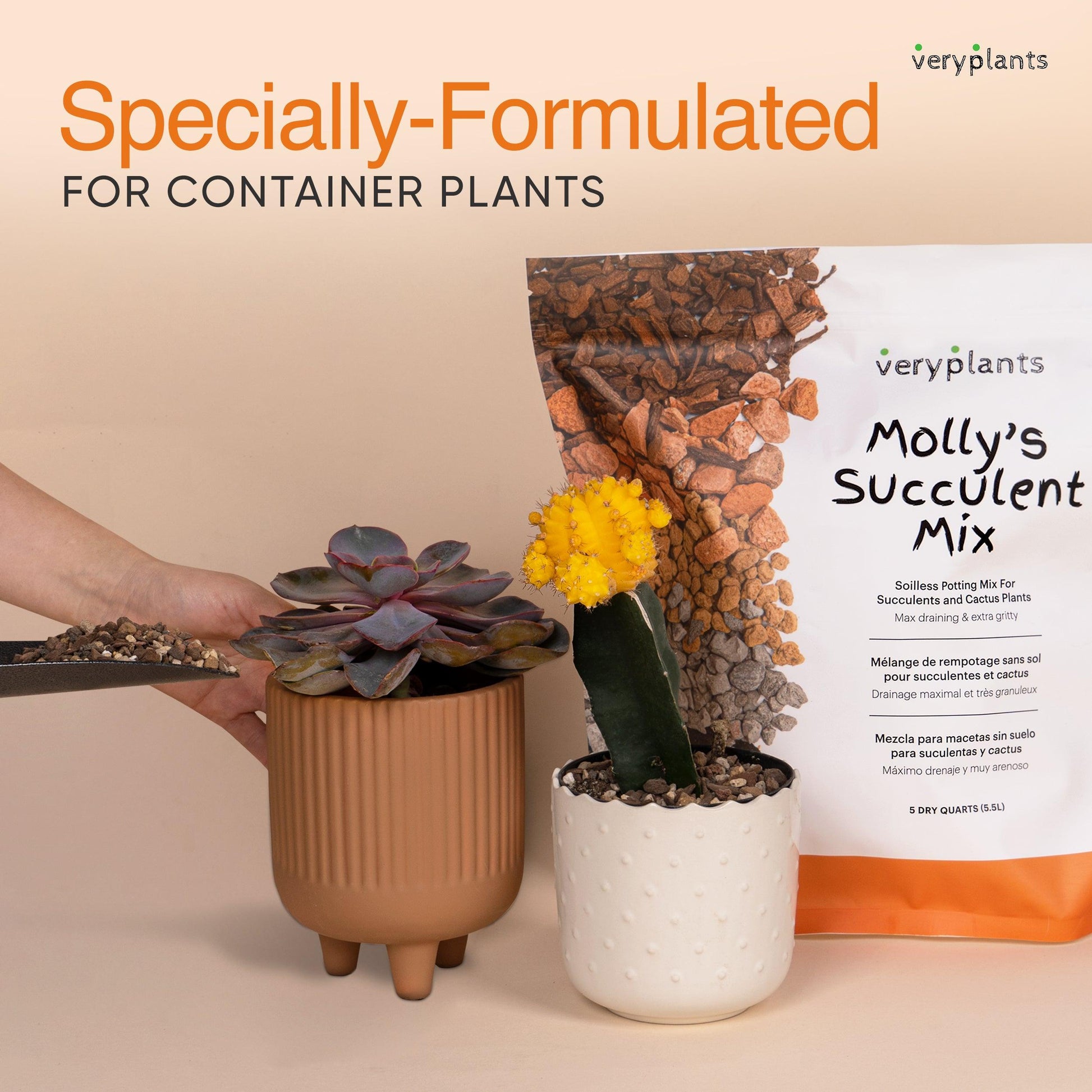 Molly's Succulent Mix - Premium Gritty Soilless Potting Mix for Succulents, Cactus and Bonsai - VERYPLANTS